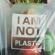 Green Products: How to set up Compostable Plastic bags business?