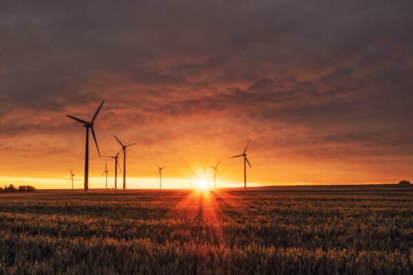 Public Valuations Are Setting The New Climate Startup Valuation Benchmarks