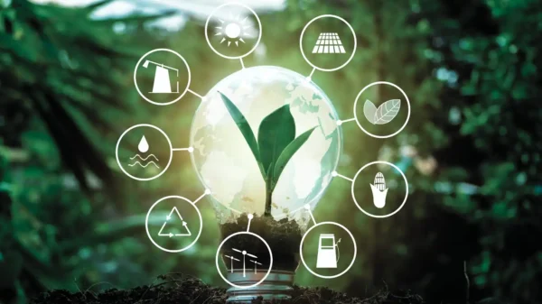 The State of Climate Investing in India, Mostly Execution Capital